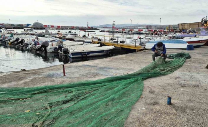 Karadeniz’den umutlu haber geldi: Balıkçılar bayram edecek