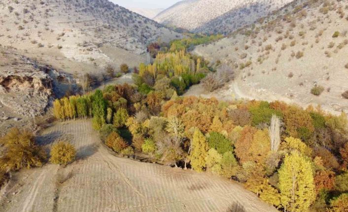 Karasu Çayı’nın sonbahar güzellikleri havadan görüntülendi