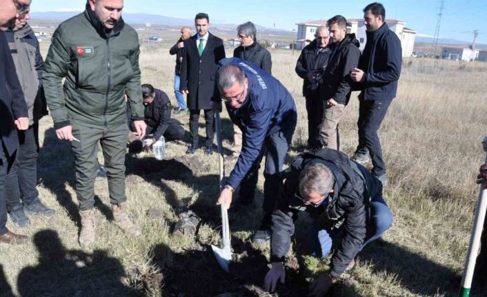 Kars’ta fidanlar toprakla buluştu