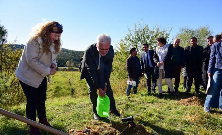 Kastamonu Üniversitesi’nde 100 fidan dikildi