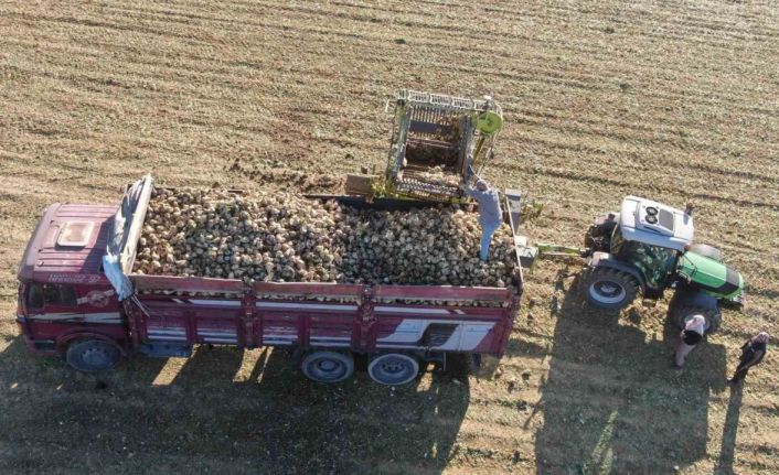 Kastamonu’da çiftçilerin zorlu pancar mesaisi devam ediyor