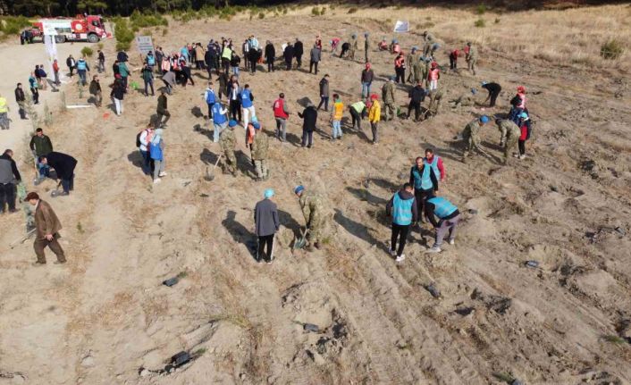 Kazdağları’nda Mili Ağaçlandırma Günü’nde fidanlar toprak ile buluştu