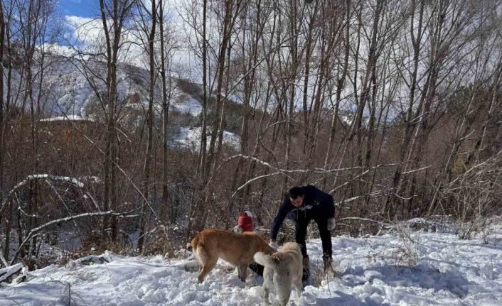 Keçiören Belediyesi, sokak hayvanlarını unutmadı