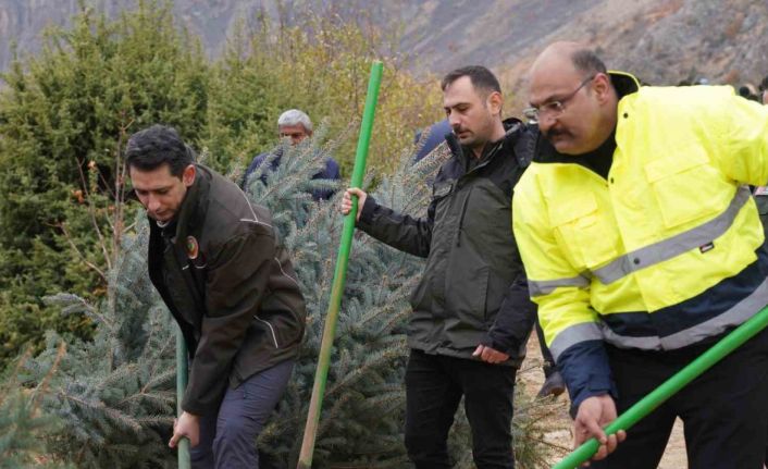 Kemaliye’de geleceğe nefes için fidan dikildi