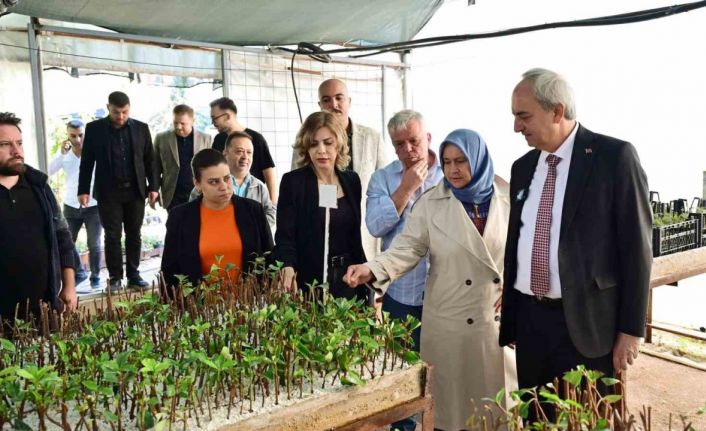 Kepez Belediyesi, ilçeyi kendi yetiştirdiği bitkilerle yeşillendiriyor