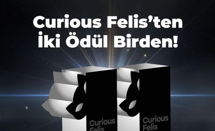 Kiğılı’ya, Curious Felis 2024’ten iki gümüş ödül