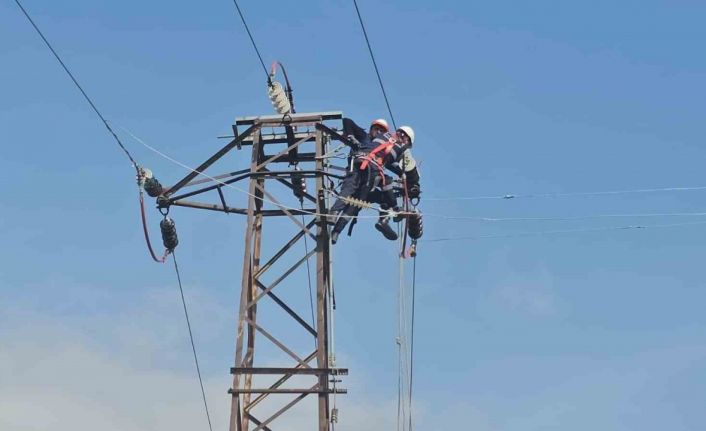 Kış öncesi enerji nakil hatlarında bakım ve onarım çalışması