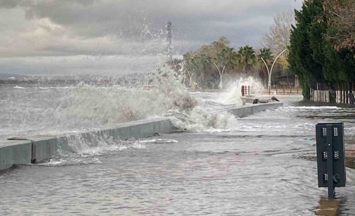 Kocaeli’de deniz taşarken 2 tekne battı, ağaçlar ise yerlerinden söküldü