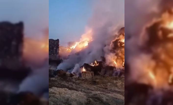 Konya’da 3 bin saman balyası kundaklandı