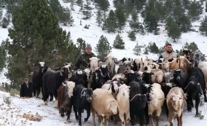 Konya’da yaylada yoğun kardan mahsur kalan besiciler yol açılarak kurtarıldı