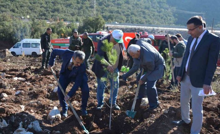 Korkuteli’nde 500 fidan toprakla buluştu