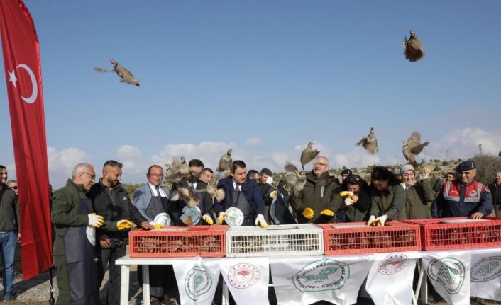 Kütahya’da yaban hayatına destek