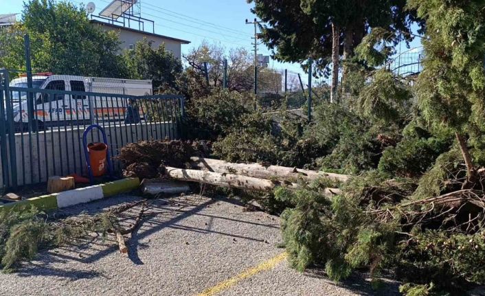 Manavgat’da şiddetli fırtına ve rüzgar ağaçları yıktı, okula zarar verdi