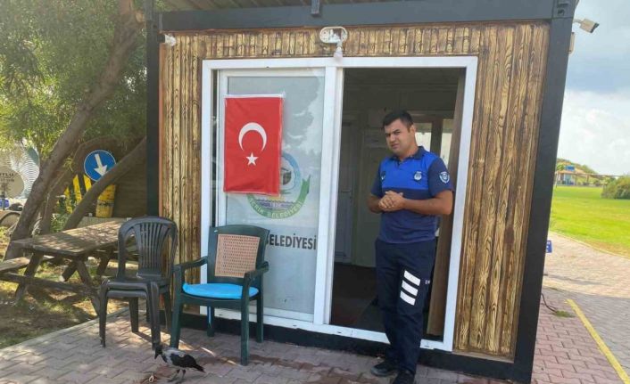 Maskot karganın ’firari’ karga olduğu ortaya çıktı