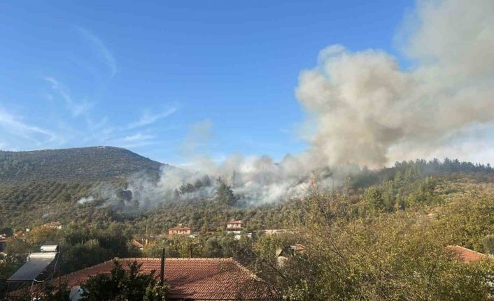 Menteşe’deki yangına havadan müdahale başladı