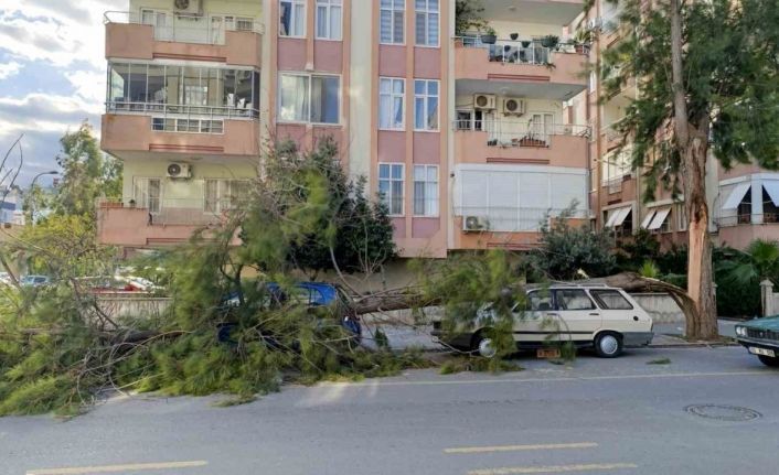 Mersin’de fırtına ağaçlar devrildi, araçlar zarar gördü camlar kırıldı