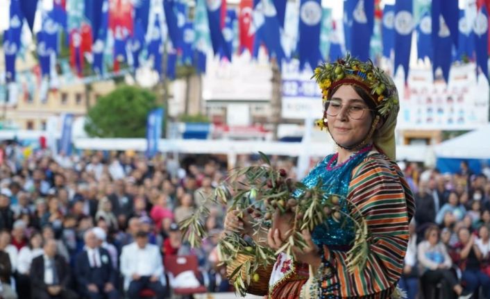 Milas’ta zeytin hasat şenliği için geri sayım başladı