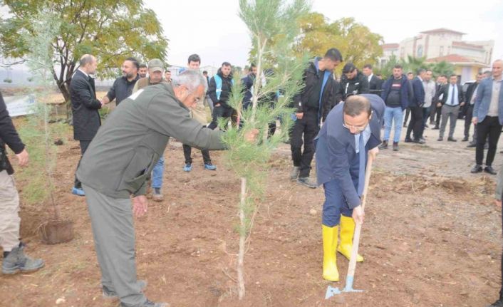 Milli Ağaçlandırma Günü’nde Cizre’de fidanlar toprakla buluştu