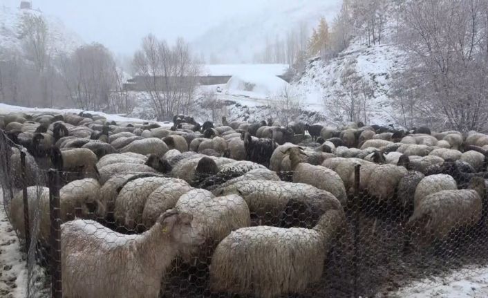 Muş’ta kar yağışı etkili oldu