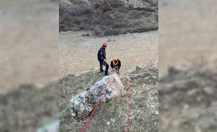 Muş’ta kayalıkta mahsur kalan keçiler kurtarıldı