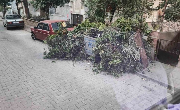 Nazilli Belediyesi Temizlik İşleri Müdürlüğü’nden vatandaşlara çağrı