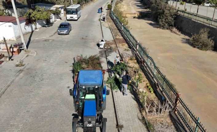 Nazilli Pınarbaşı yürüyüş yolu temizlendi