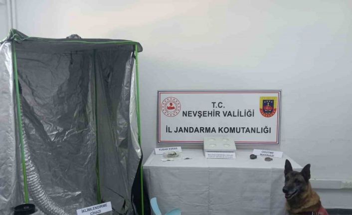 Nevşehir’de "Narkoçelik" operasyonu: 7 gözaltı