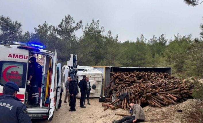 Odun yüklü kamyon devrilirken, 3 kişi yaralandı