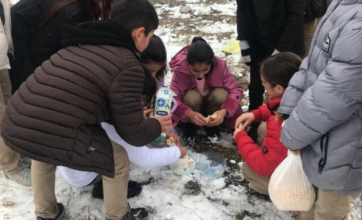 Öğrenciler kar sebebiyle aç kalan hayvanlar için doğaya yiyecek bıraktı