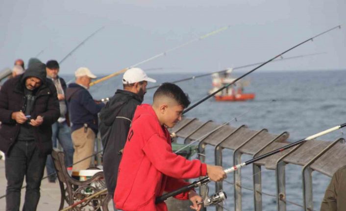 Ordu’da amatör balıkçılar rıhtıma akın etti