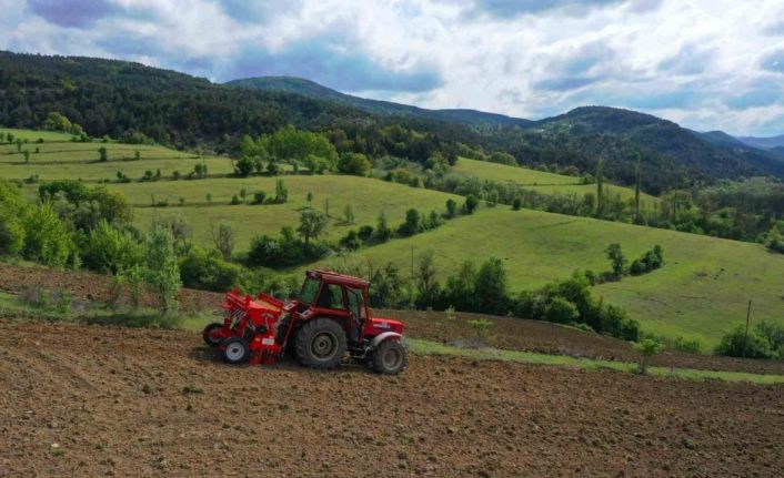 Ordu’da boş arazilerden bugün bereket fışkırıyor