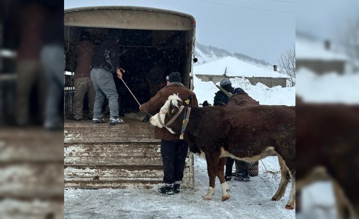 Ordu’da kar nedeniyle yaylada mahsur kalan vatandaşlar kurtarıldı