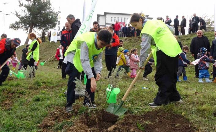 Ordu’da yaklaşık 5 bin fidan toprakla buluşturuldu