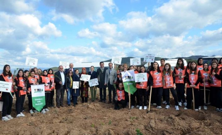 Organlar hayata, fidanlar geleceğe nefes oldu