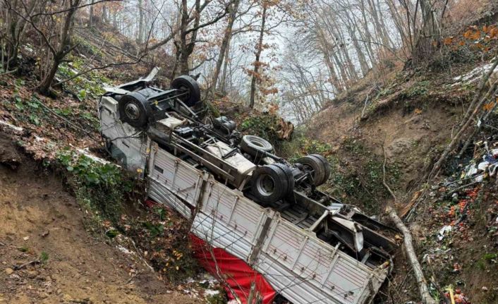 Ormana yuvarlanan kamyona 4 gün sonra ulaşıldı