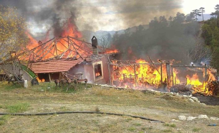 Otları yakmak isterken evi yandı: Yaşlı adam yaralandı