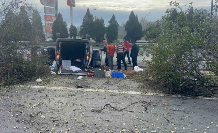 Otoyolda kontrolden çıkan araç 3 ağacı biçti: 2 yaralı