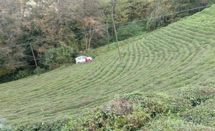 Rize’de araç çay bahçesine yuvarlandı