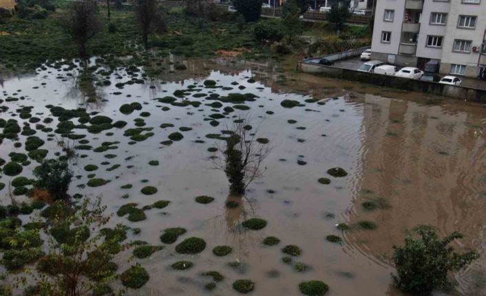 Rize’deki şiddetli yağıştan tarım arazileri de nasibini aldı