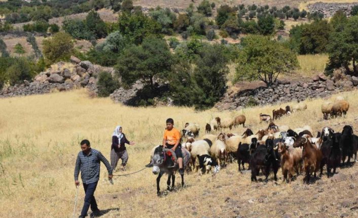 Şahinbey Belediyesi’nin destekleri ile hayvan yetiştiriciliği arttı