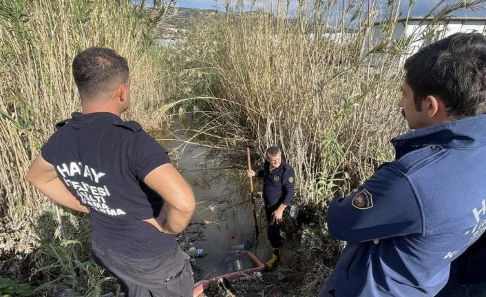 Samandağ’da yağmur suyu giderinde mahsur kalan yavru köpekler kurtarıldı