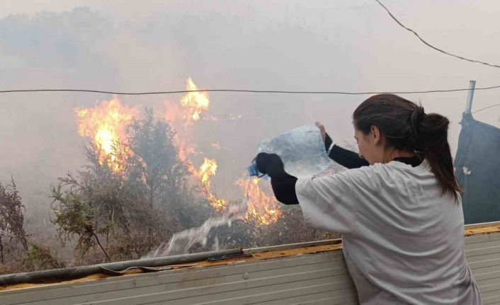 Sazlık alandaki yangına hortum ve bidonlarla müdahale ettiler