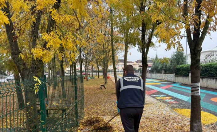 Serdivan’da sonbahar temizliği