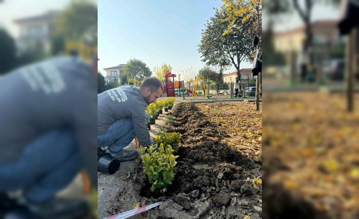 Serdivan’ın yeşil alanları güzelleşiyor