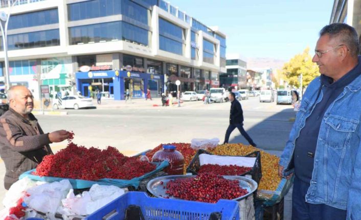 ’Seyyar doktor’ dağ bitkileriyle şifa dağıtıyor