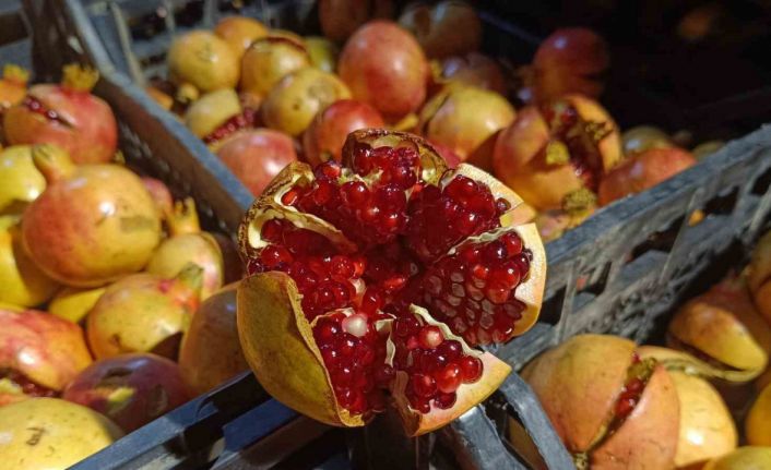 Siirt’in Zivzik narı için coğrafi işaret başvurusu yapıldı