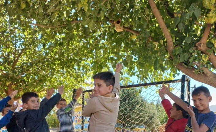 Silvan’da kuş yuvaları ile ekosisteme katkı