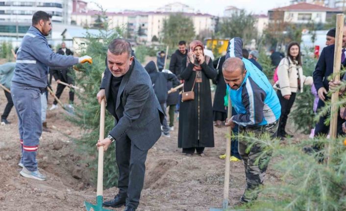 Sincan Belediye Başkanı Ercan, vatandaşlar ile birlikte fidan dikti