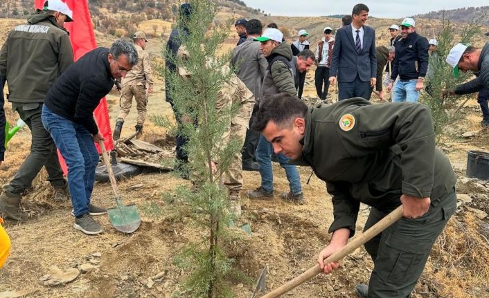 Sincik’te 100 fidan toprakla buluştu