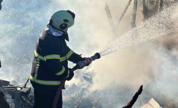 Sinop’ta çakmakla oynayan çocuklar samanlığı yaktı